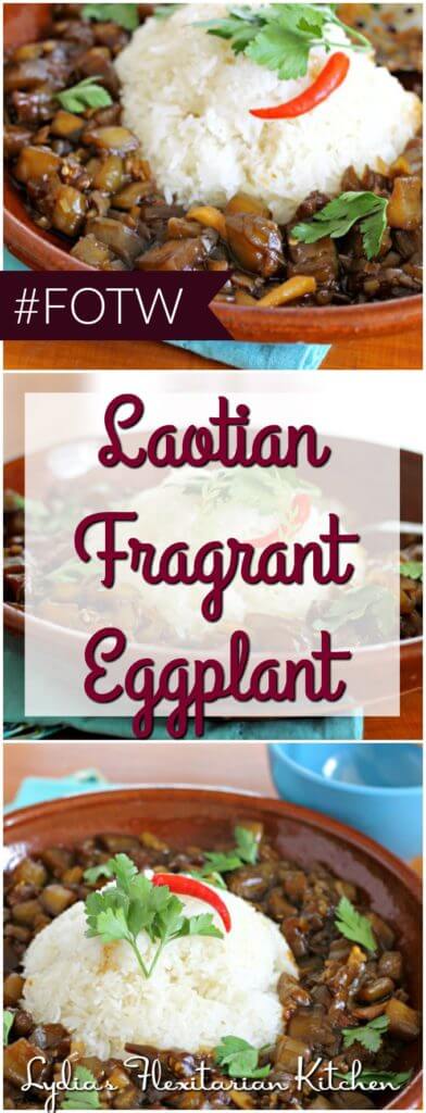 Laotian Fragrant Eggplant ~ Food of the World ~ Lydia's Flexitarian Kitchen