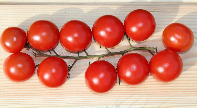 Salmon with Chorizo and Tomatoes ~ Lydia's Flexitarian Kitchen ~ photo of cherry tomatoes on the vine