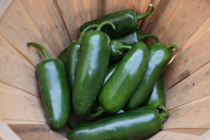jalapeno peppers