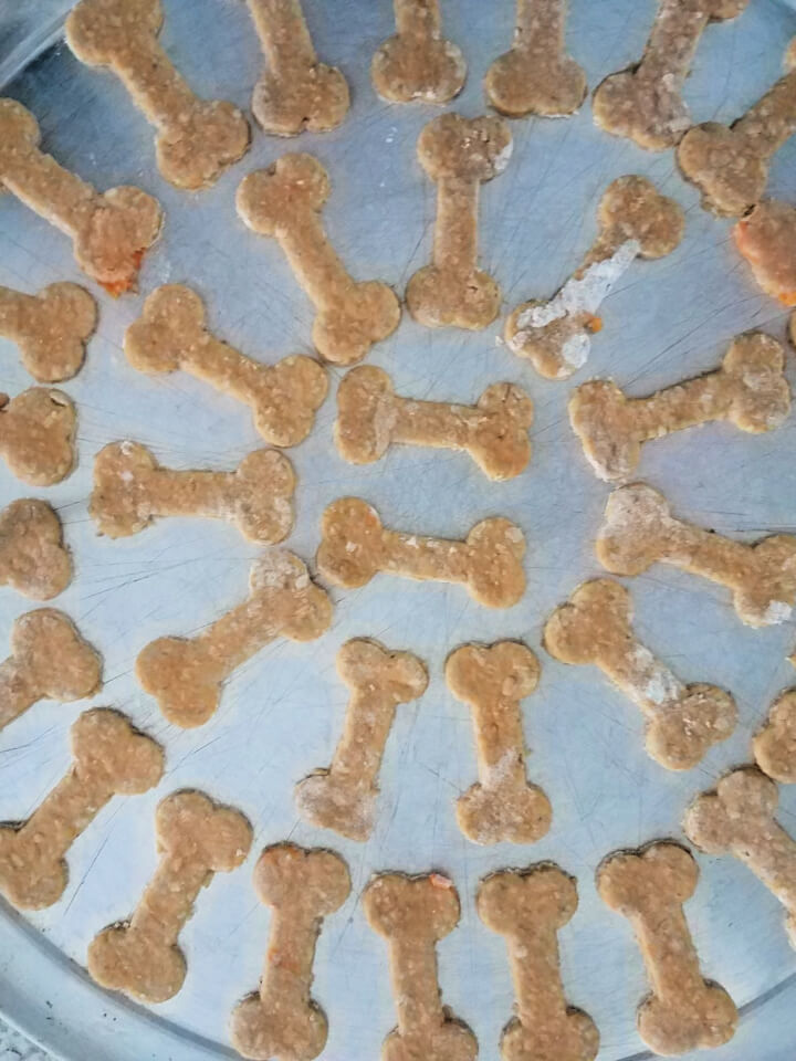 dog treats on a baking tray