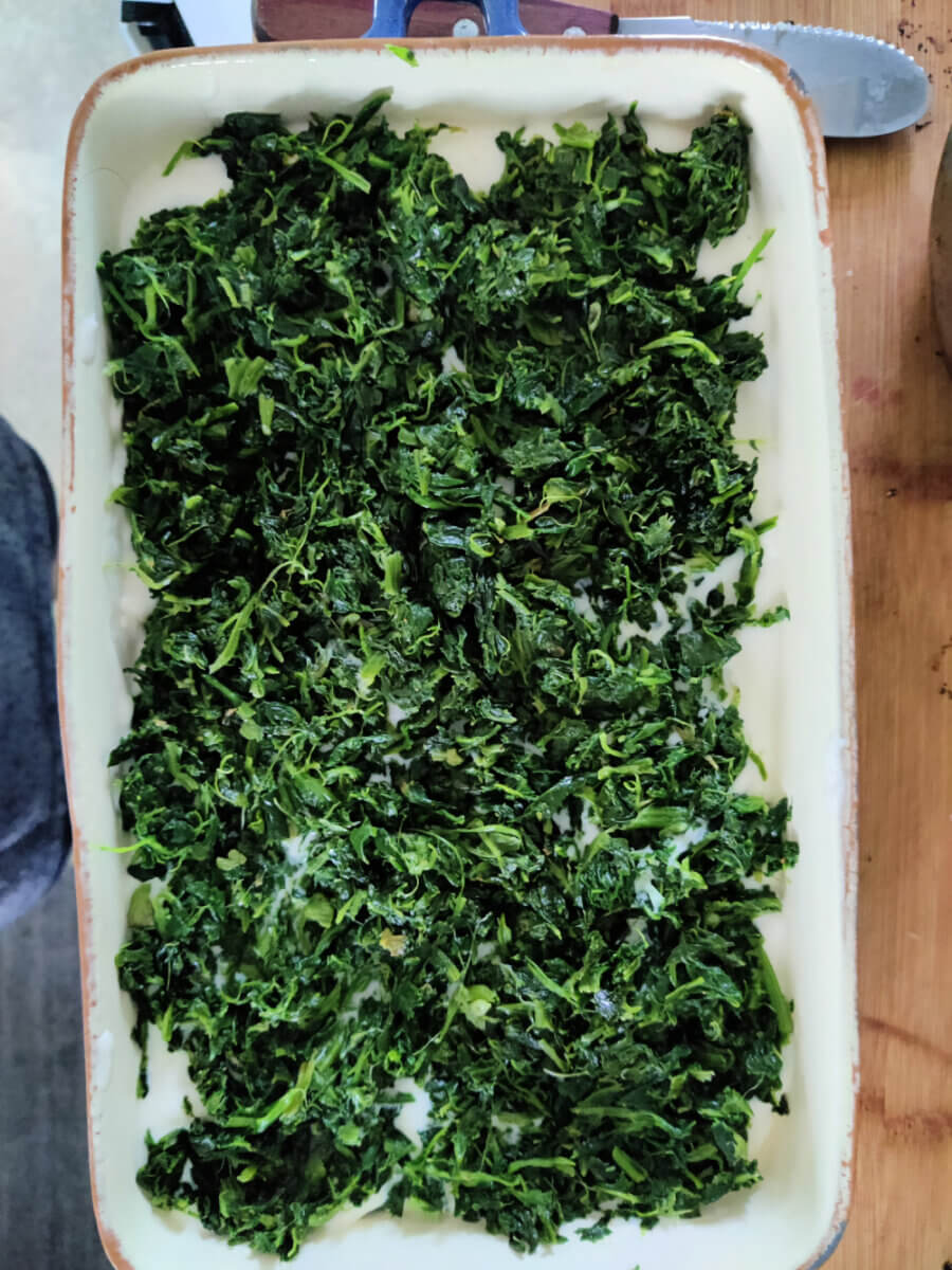 Spinach and White Sauce in Tray